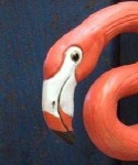 image of animal