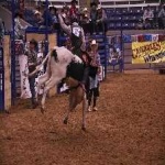 image of bull_riding #2