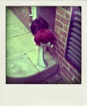 image of wig