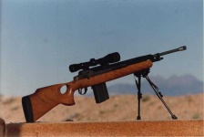 image of revolver