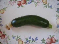 image of zucchini #10