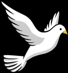 image of dove