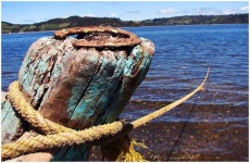 image of knot