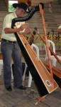 image of harp