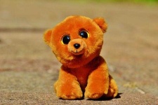 image of teddy_bear