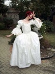 image of hoopskirt
