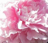 image of texture