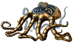 image of octopus