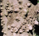 image of texture