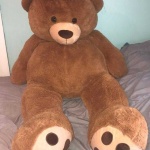 image of teddy_bear