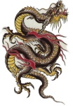 image of dragon