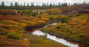 image of tundra