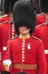image of bearskin