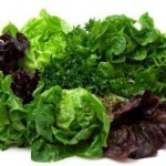 image of lettuce #34