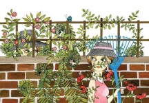 image of garden