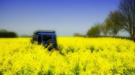 image of jeep_car
