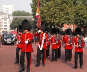 image of bearskin