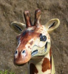 image of animal