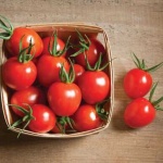 image of tomato #1