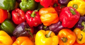 image of fruit_and_vegetable