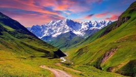 image of sunny