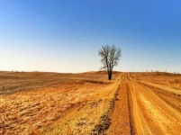 image of prairie