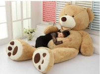 image of teddy_bear