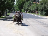 image of horse_cart
