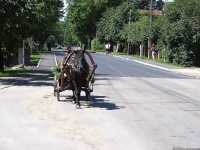 image of horse_cart #25