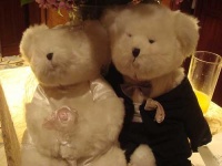 image of teddy