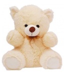 image of teddy_bear