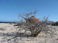 image of yurt