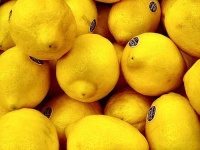 image of lemon #17