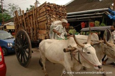 image of oxcart