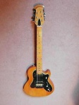 image of electric_guitar