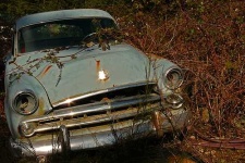 image of grille