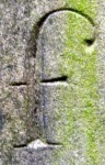 image of char
