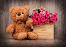 image of teddy_bear