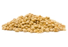 image of beans #13