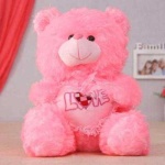 image of teddy_bear