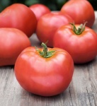 image of tomato #9