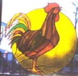 image of rooster