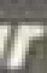 image of char