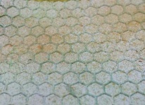 image of texture