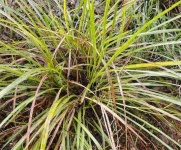 image of texture