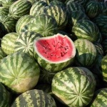 image of watermelon