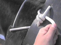 image of knot