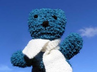 image of teddy
