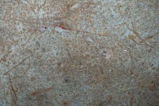 image of texture