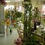 image of indoor